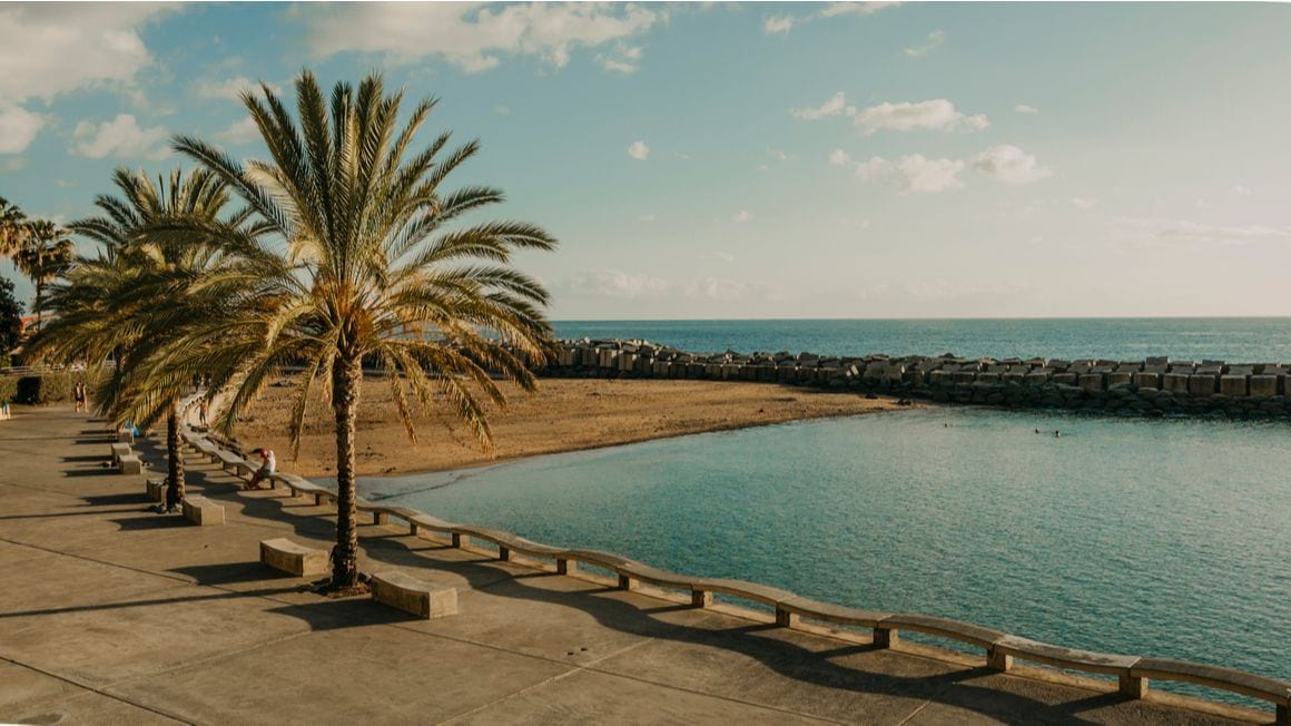 View of the boardwalk, palm trees and beach in Calheta Madeira, portugal