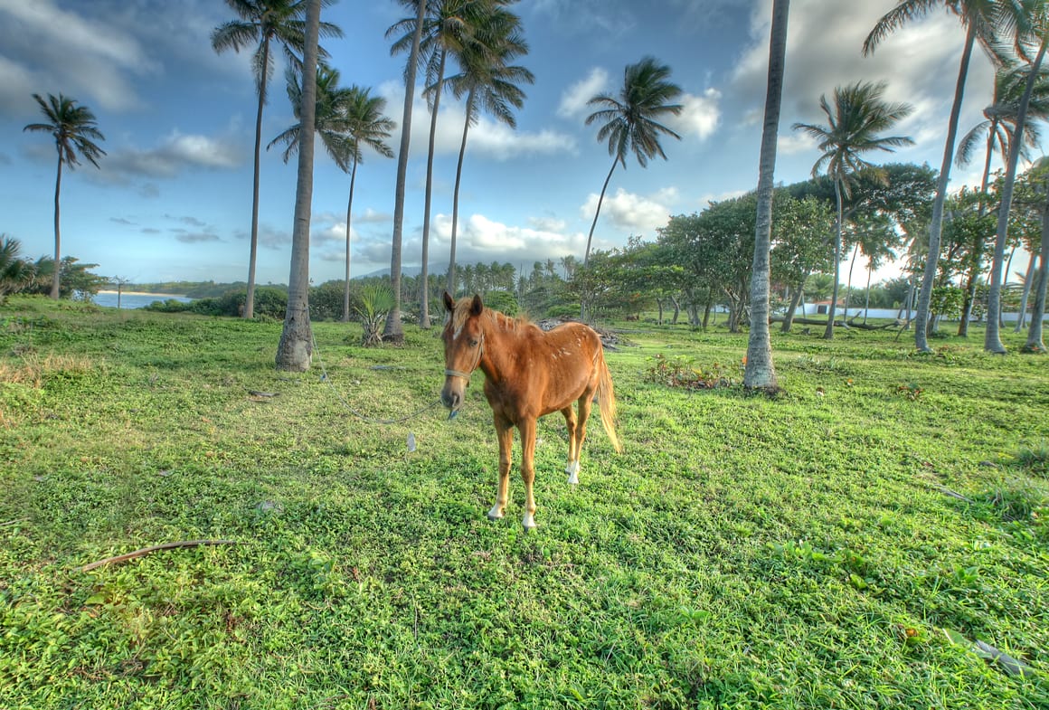 tourist attractions in cancun mexico Horseback Cancun