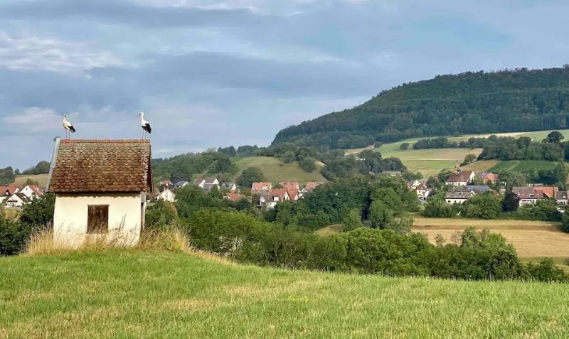 Landgut Stockenhof Black Forest