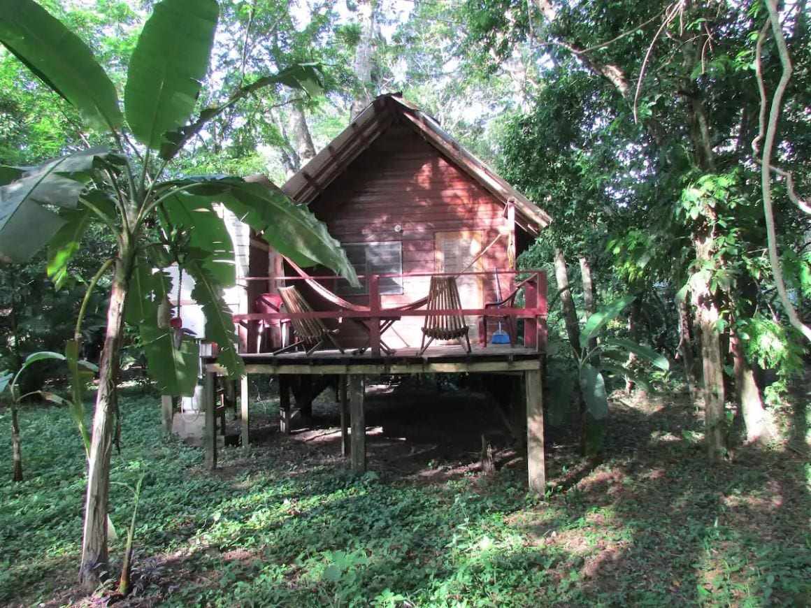 Parrot Nest Family Cabin Belize 