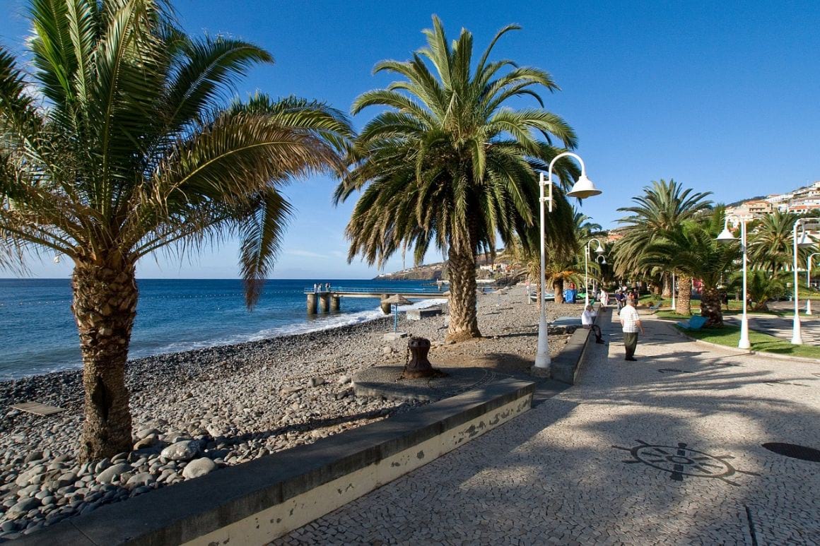 Palm tree, boardwalk and beach in Santa Cruz Madeira, portugal