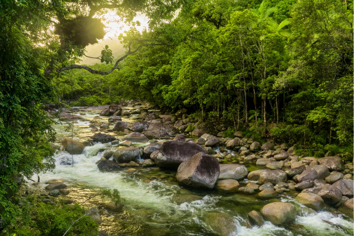 Daintree, Port Douglas 2