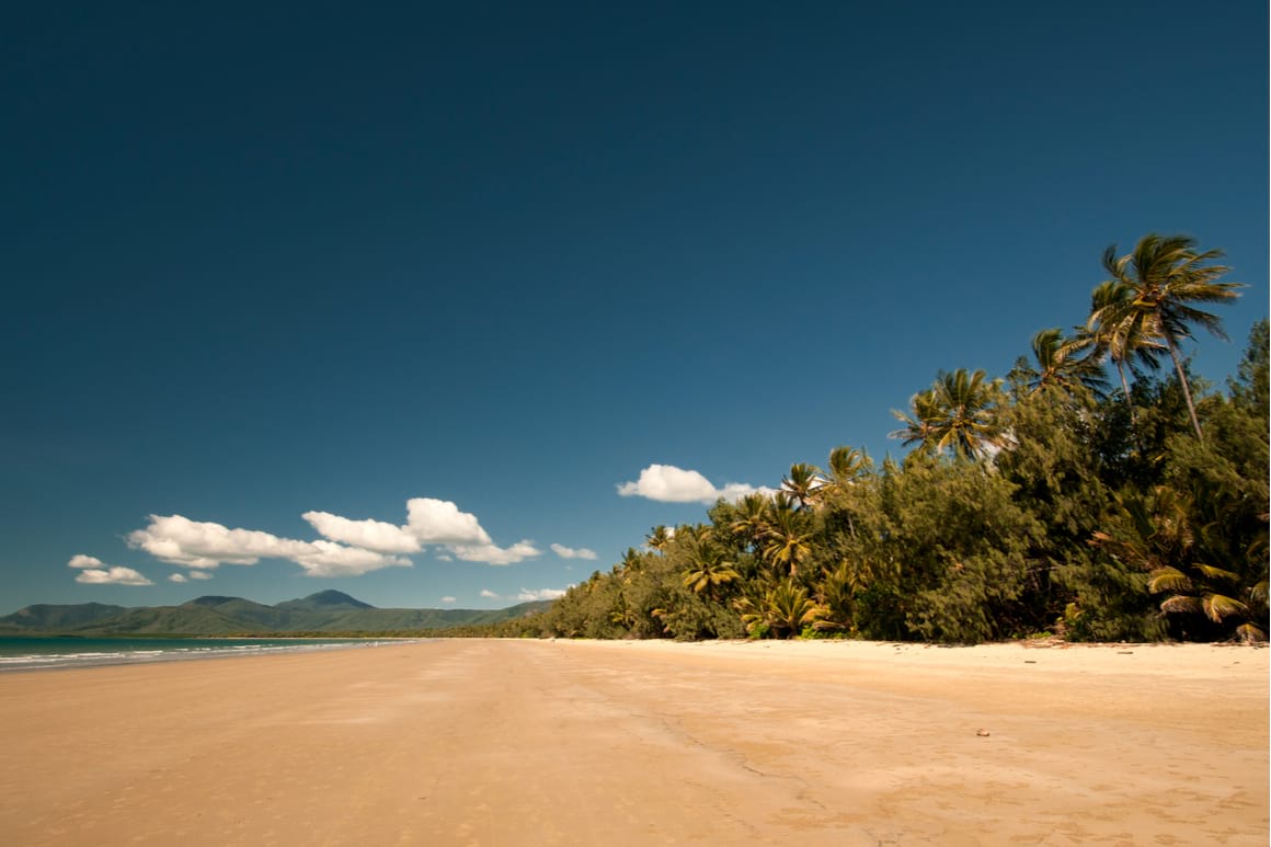 View down Flour Mile Beach showing golden sand, palm trees and mountains in the distance