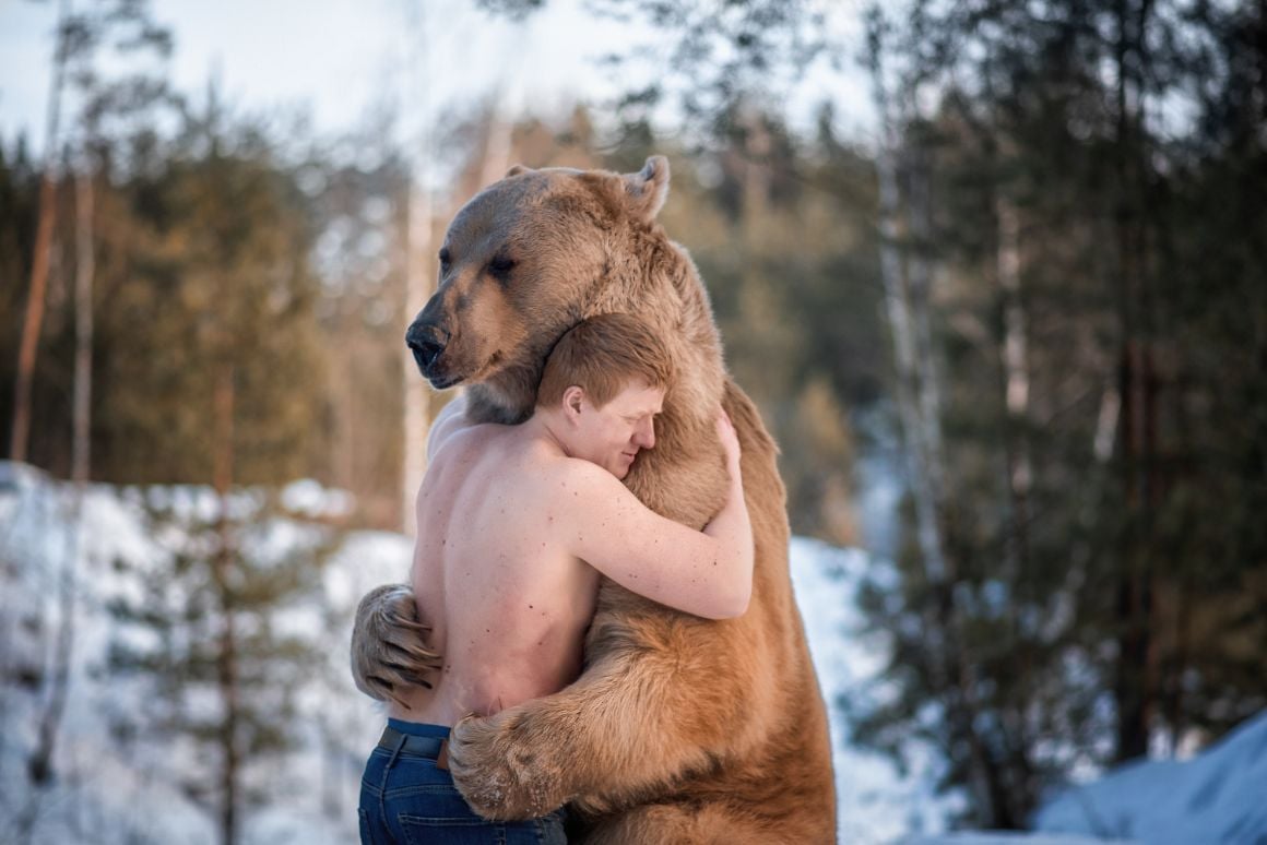 A volunteer hugs a brown bear at a conservation project