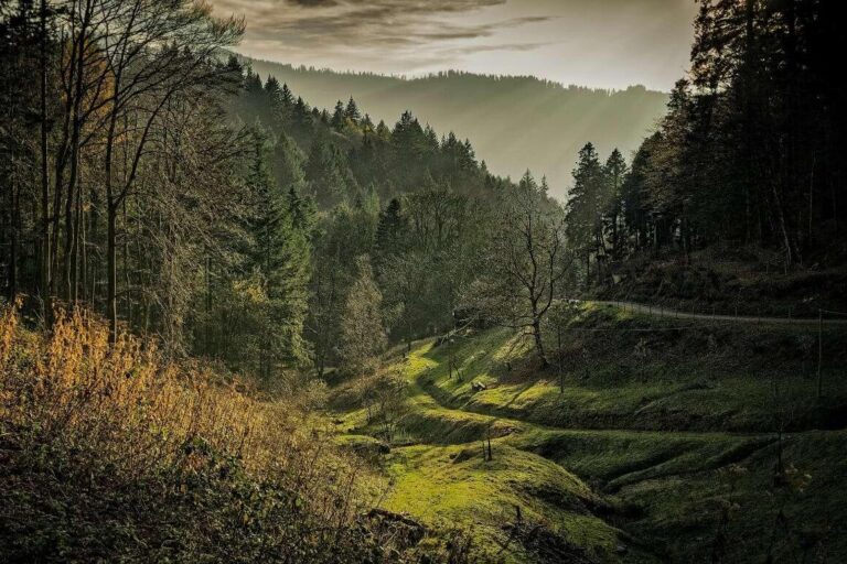 20+ Breathtaking Places in Germany I’d Go Back to Again