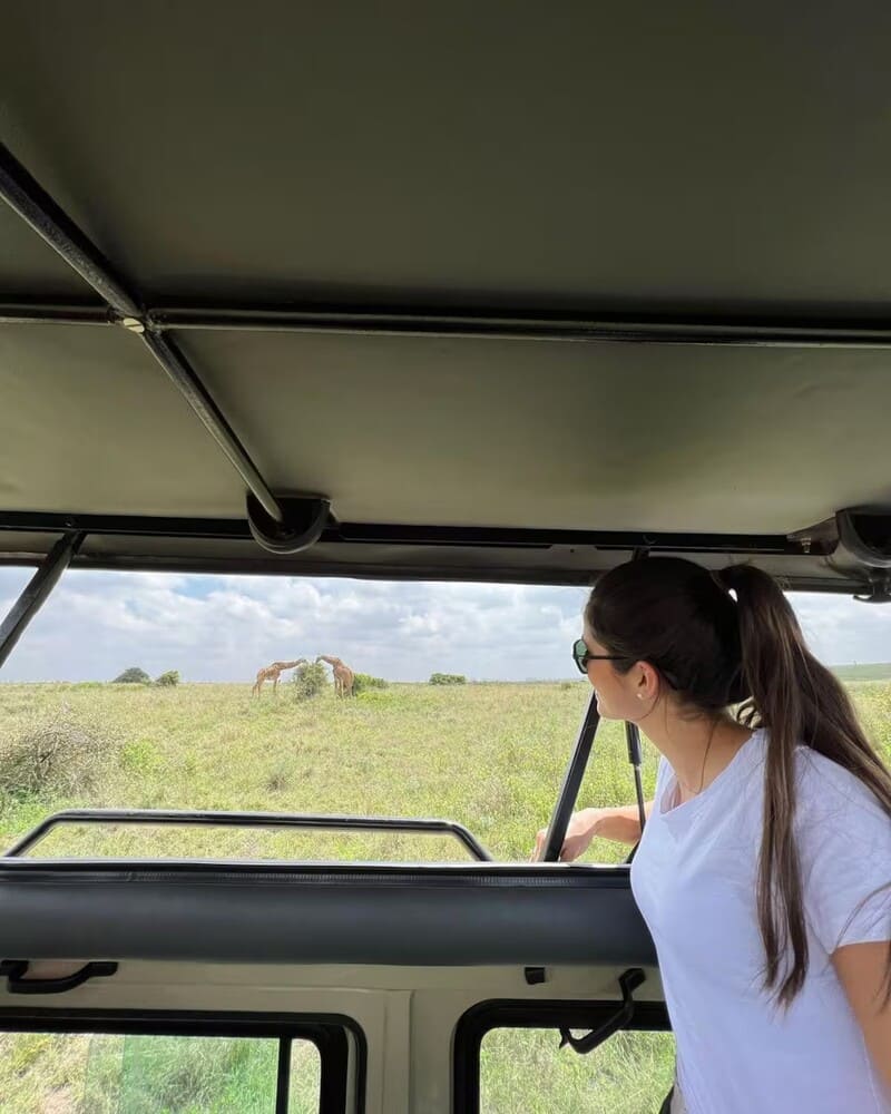 see the big five on a safari kenya