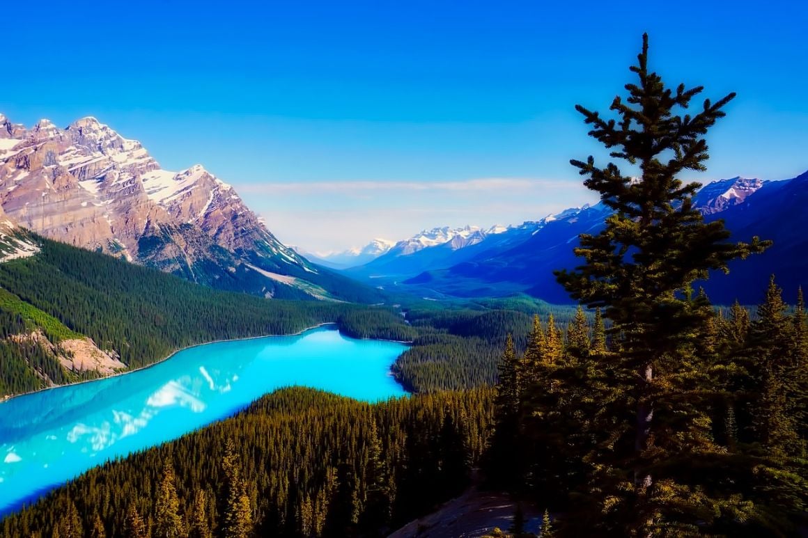 Icefields Parkway, Jasper National Park