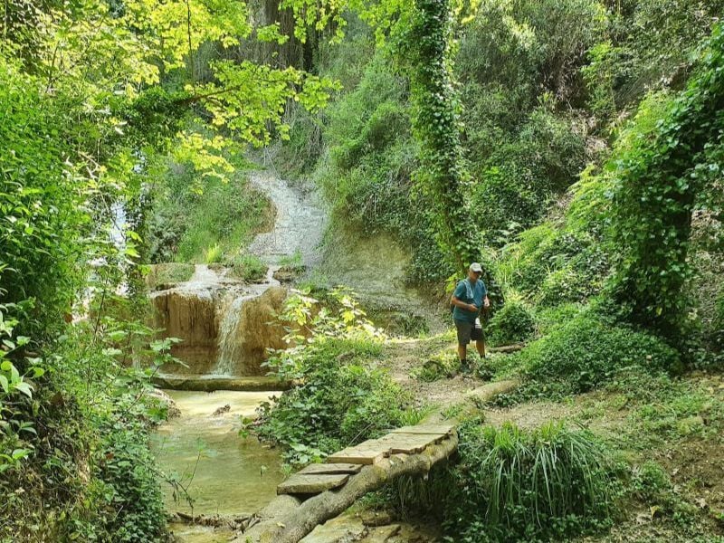 Waterfall and River Hike