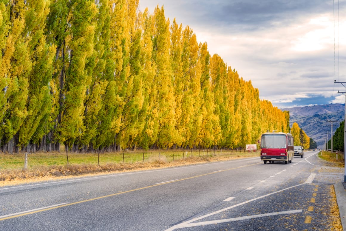  comment se déplacer en Nouvelle-Zélande pas cher 