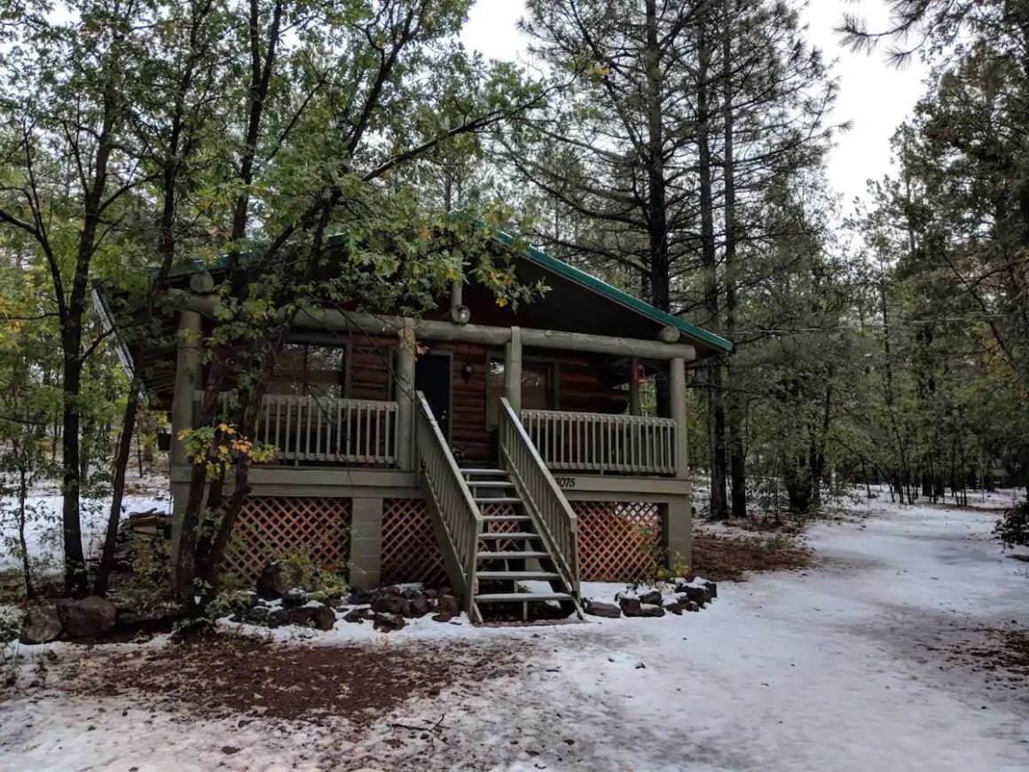 Cozy Cub Log Cabin