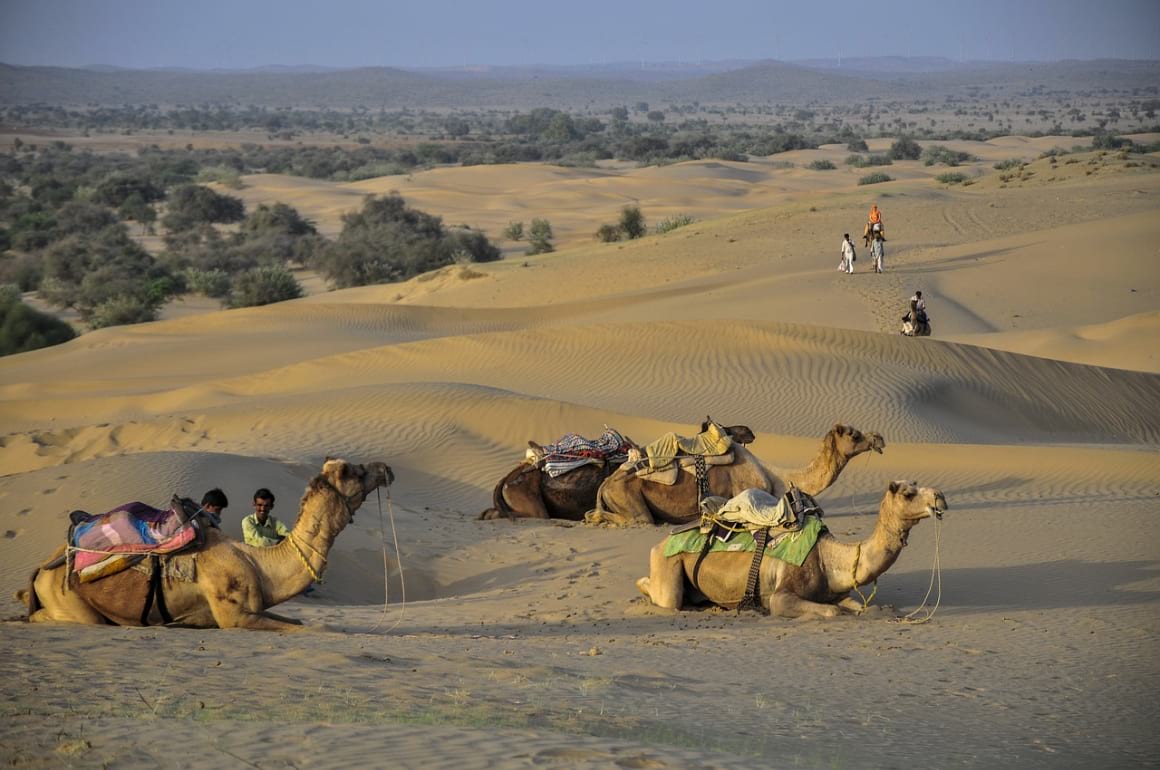 desert india
