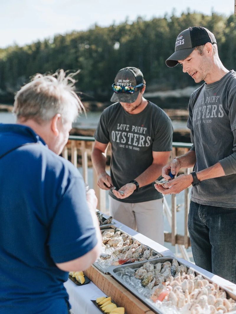 Day Cruising with Lobster in Belfast, Maine