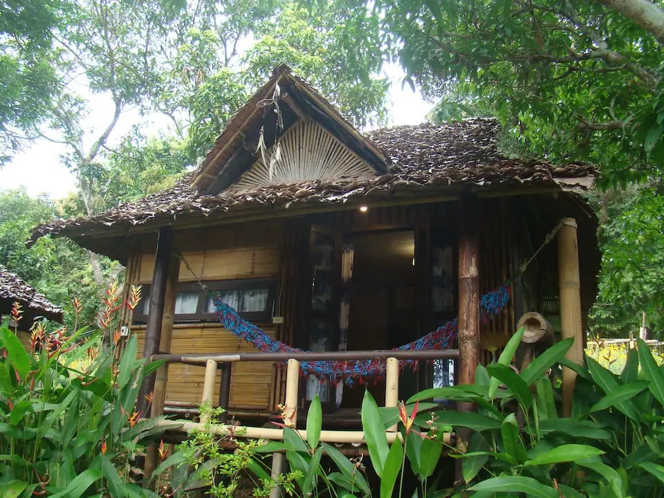 Re-wild House