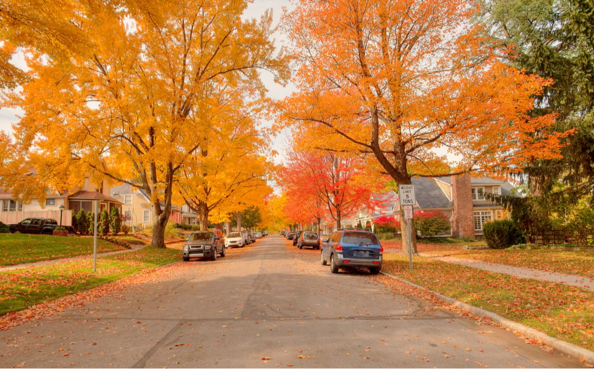 Downtown Traverse City, Traverse City 1