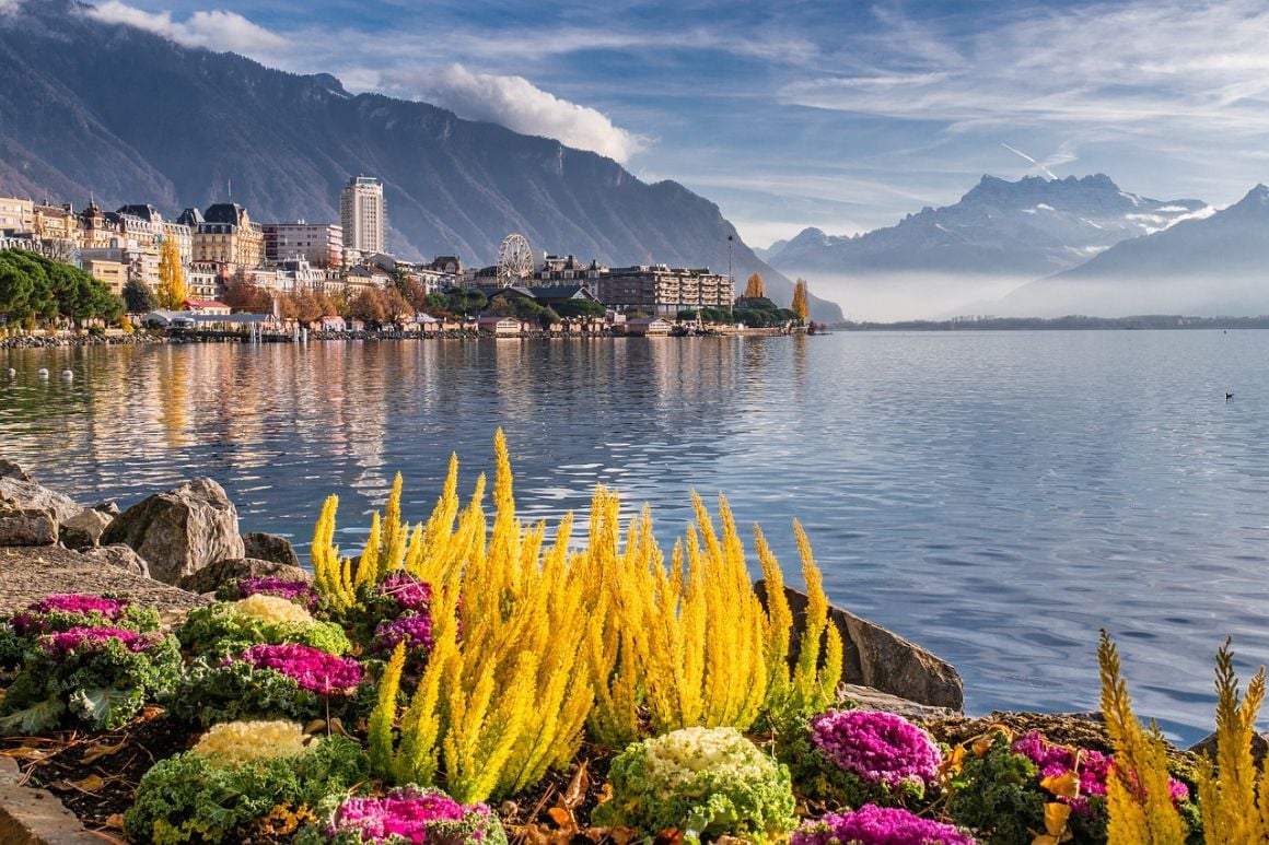 flowers in the foreground of lake geneva with the city in the background on the lake edge Switzerland Geneva