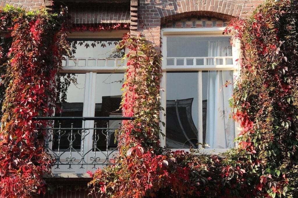 Trendy Neighborhood Apartment Amsterdam