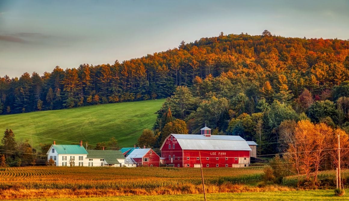 What to Expect from Airbnbs in New Hampshire, Cabins