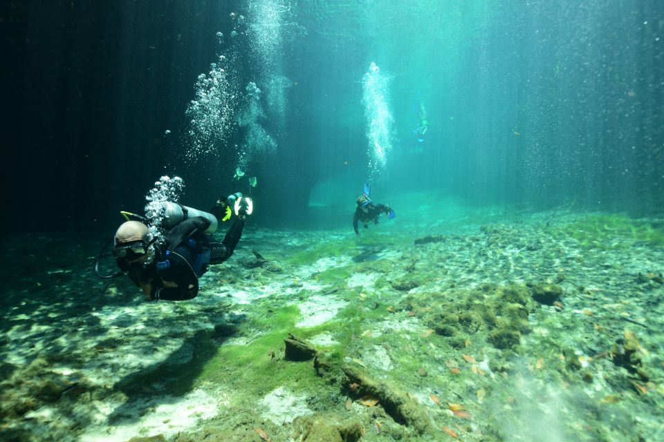 Go scuba diving in a cenote Tulum