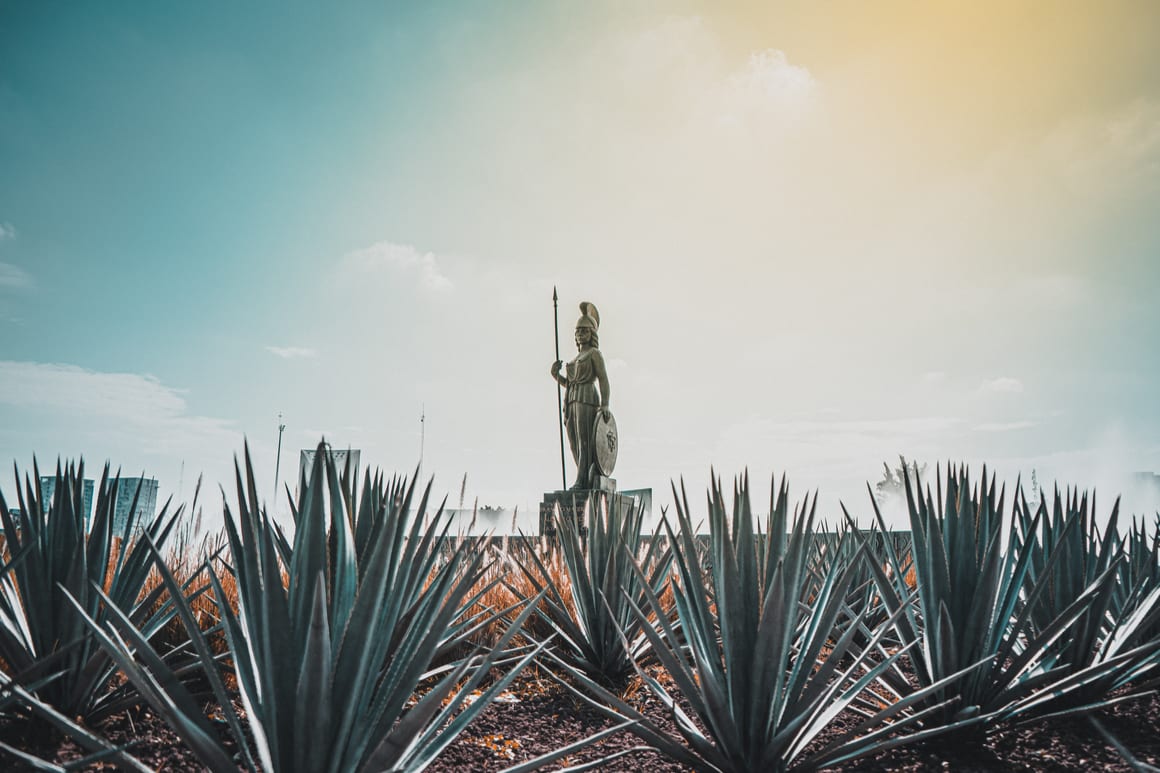 Zona Expo, Guadalajara 2