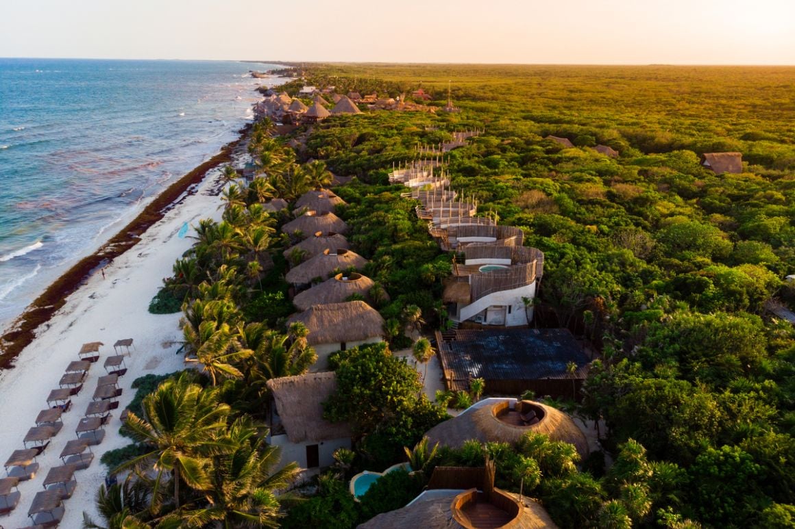 Tulum jungle