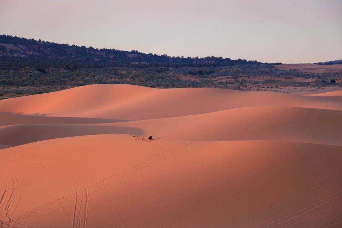 Coral Pink Sand Dunes Kanab State Park 