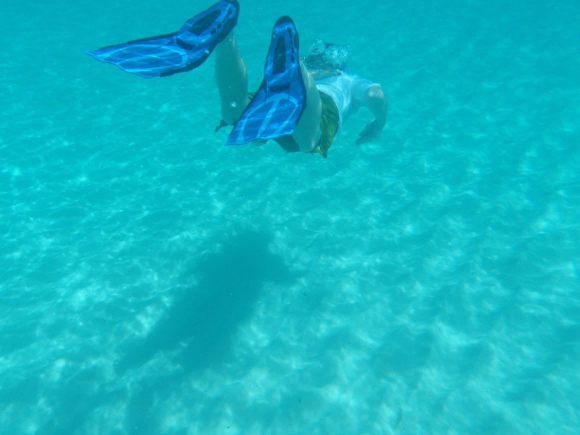 Anguilla Snorkel