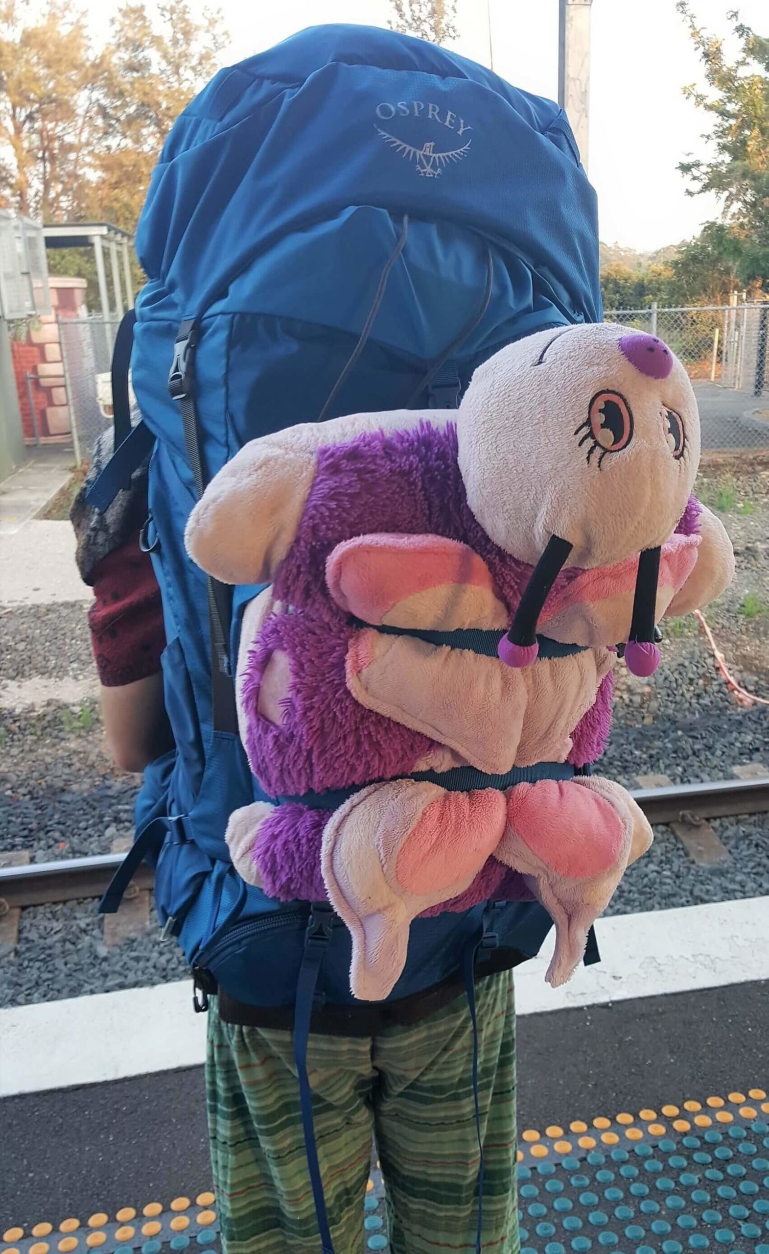 A gay traveller with a pink plushie strapped to the outside of his backpack.