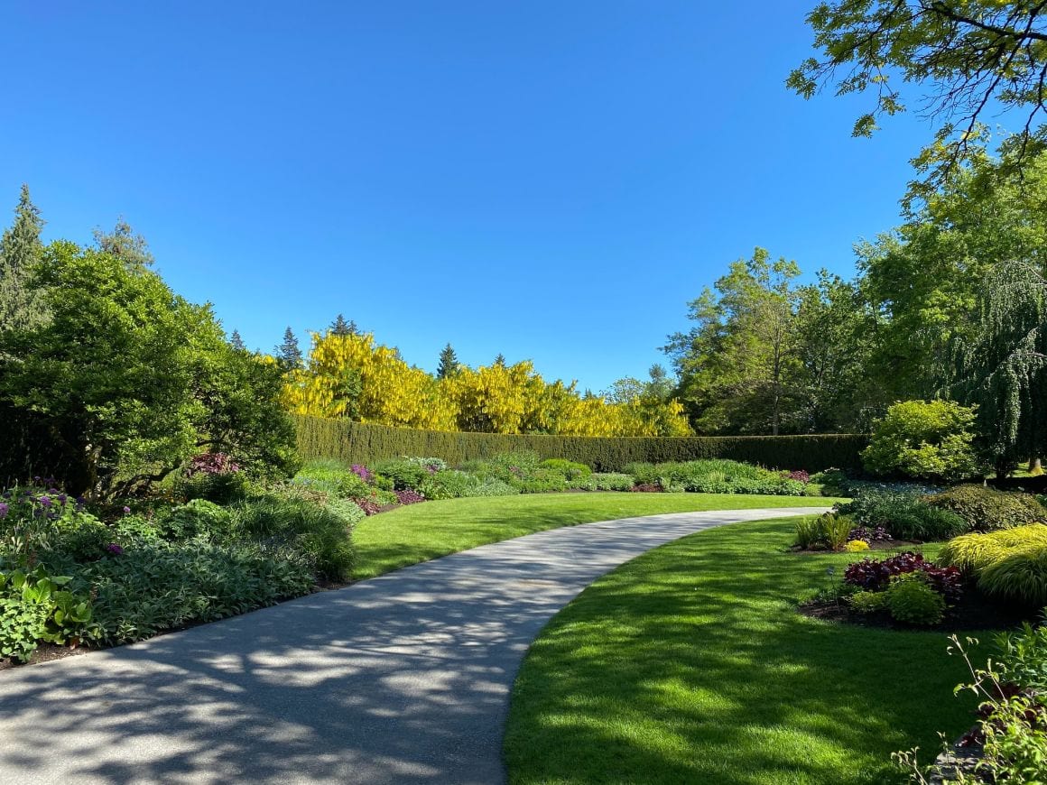 Get lost in the maze at Vandusen Botanical Garden