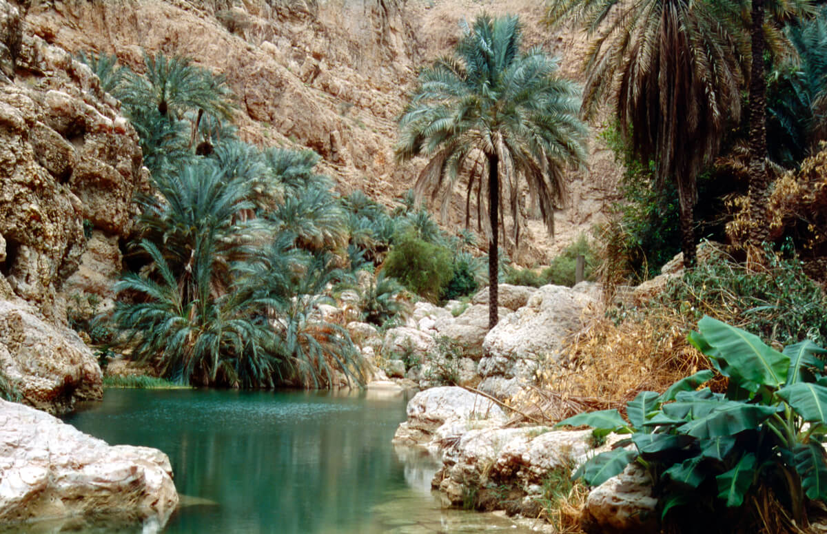 emerald colored waters set amongst a narrow rocky mountain canyon in oman