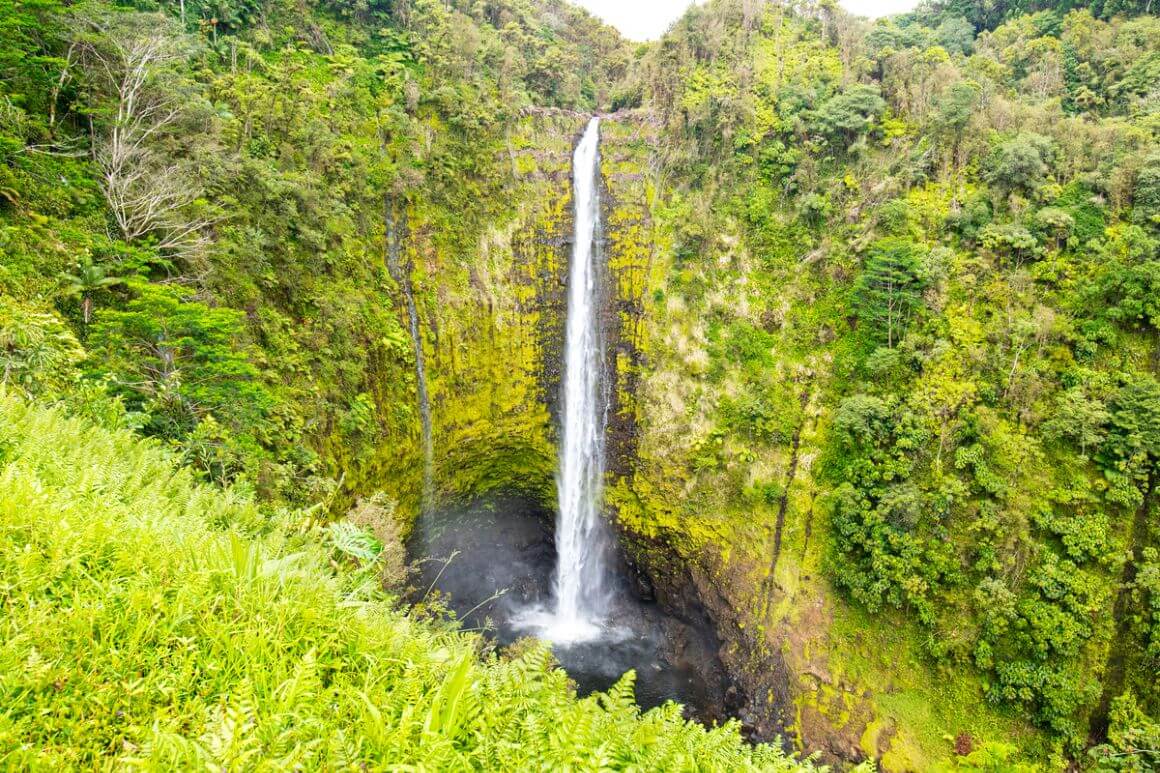 Akaka Falls The Big Island Hawaii