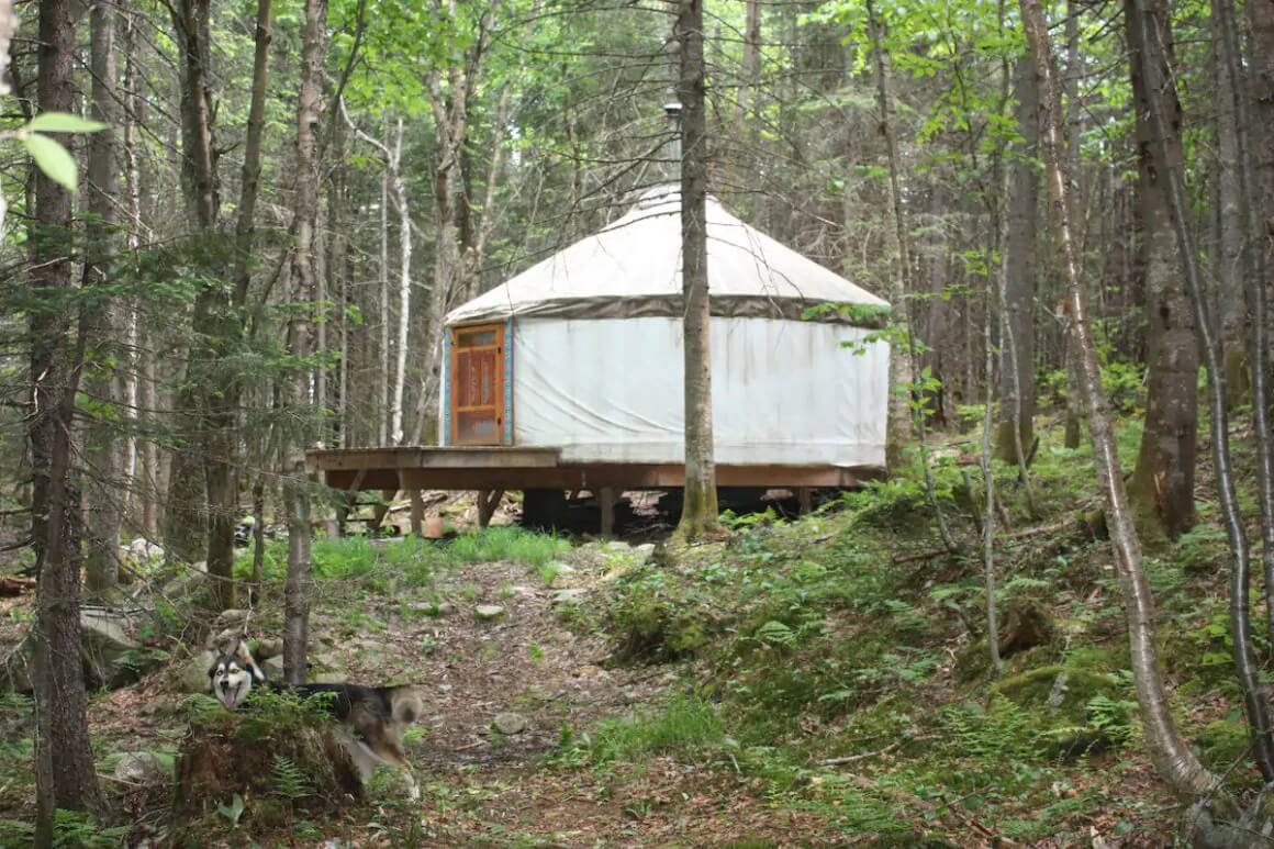 Centre for Conscious Health Yurt 