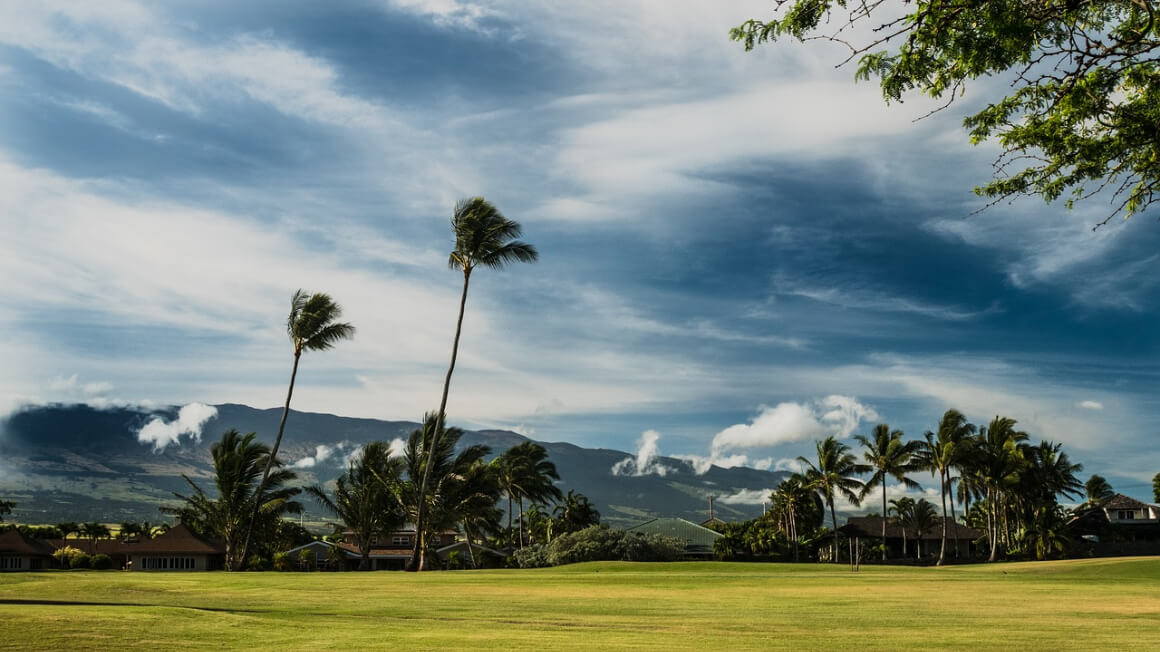 Condos Maui