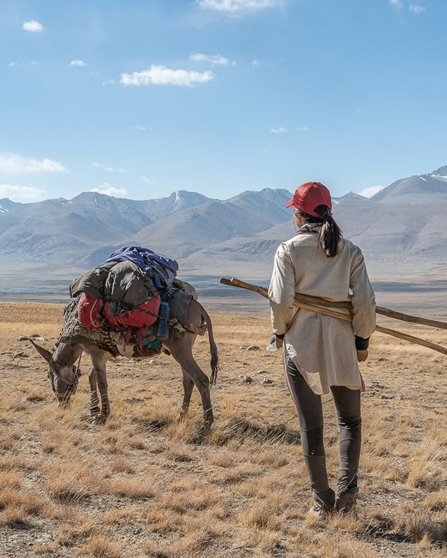 A donkey with a pack strapped to it eats grass while a girl and two hiking poles watches on.