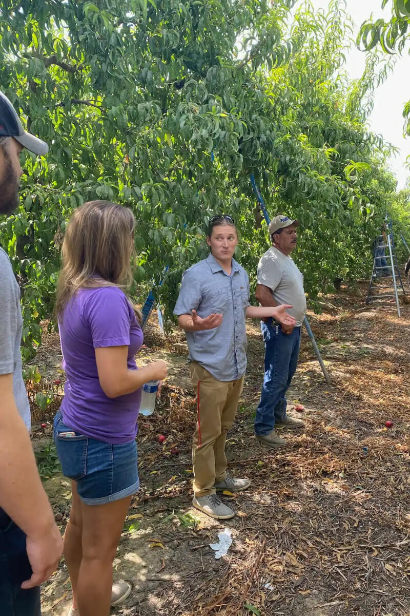 Farm to Table Peach Tour