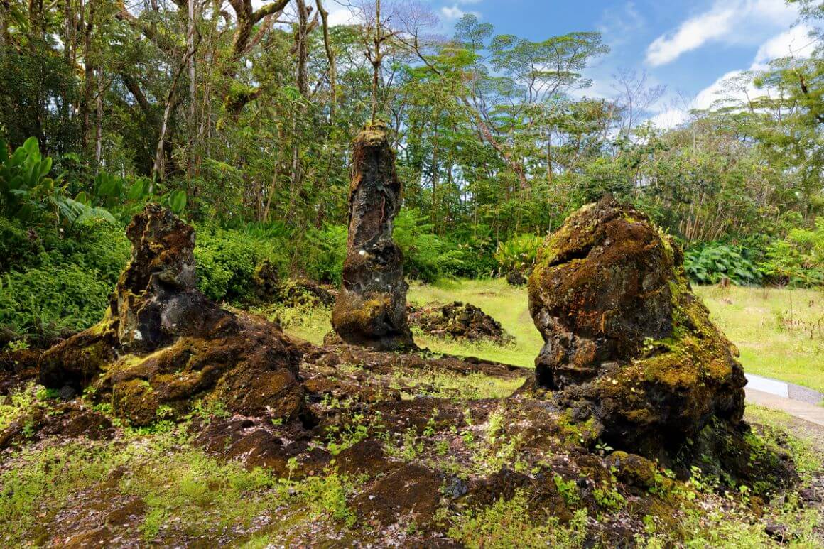 Lava Tree State Monument The Big Island Hawaii