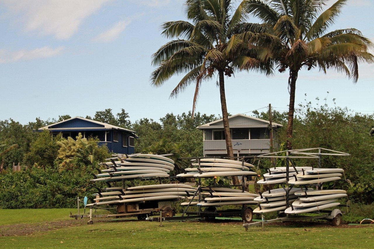 Palm Tree Kauai