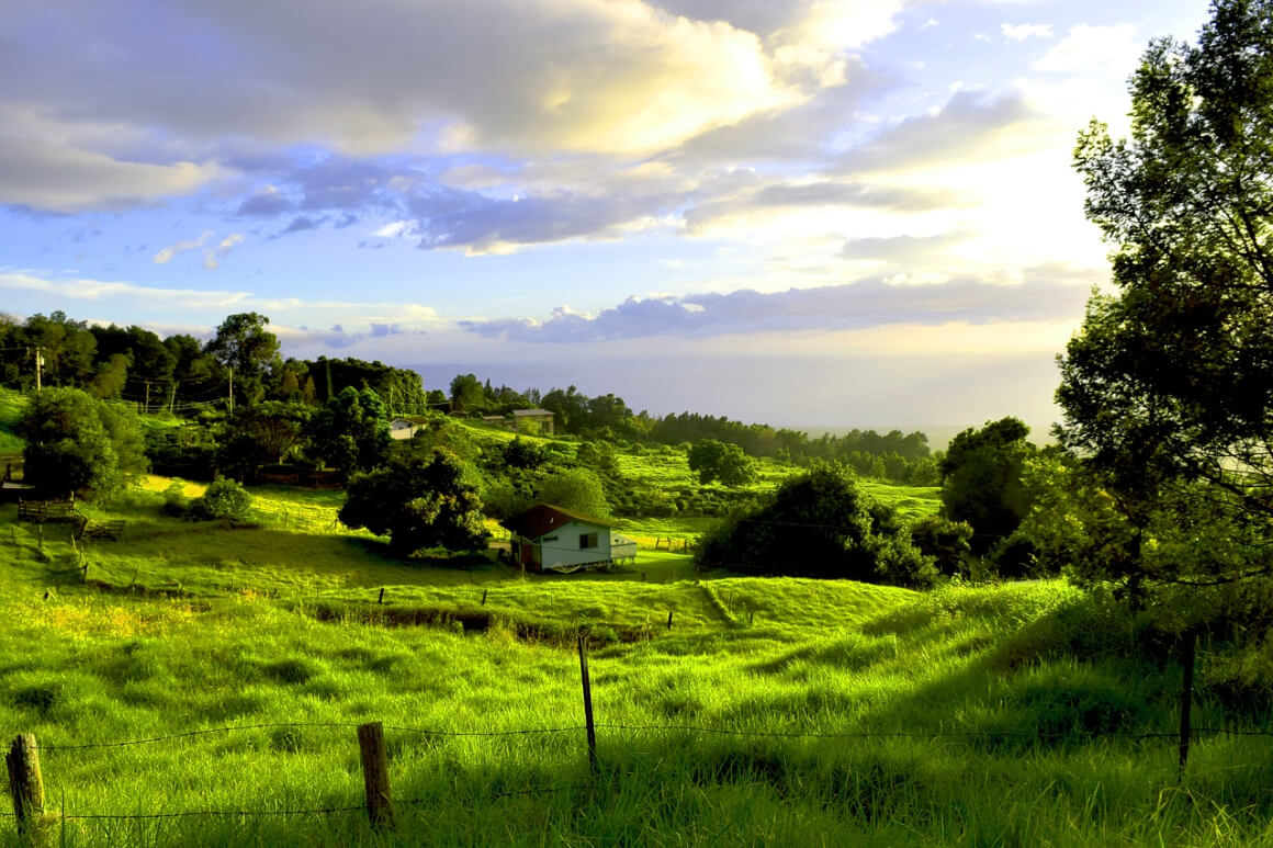 Plantation Cottages Maui