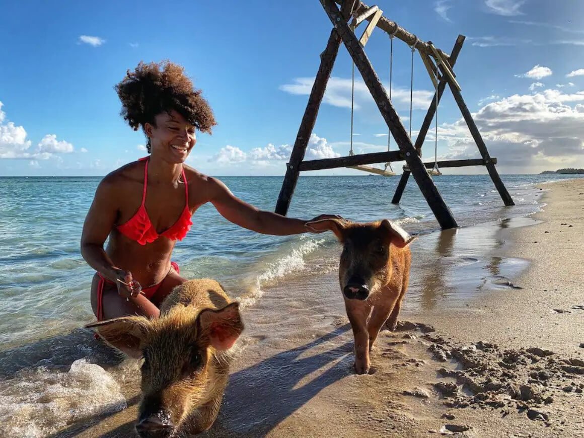Swim with pigs at Adelaide Beach