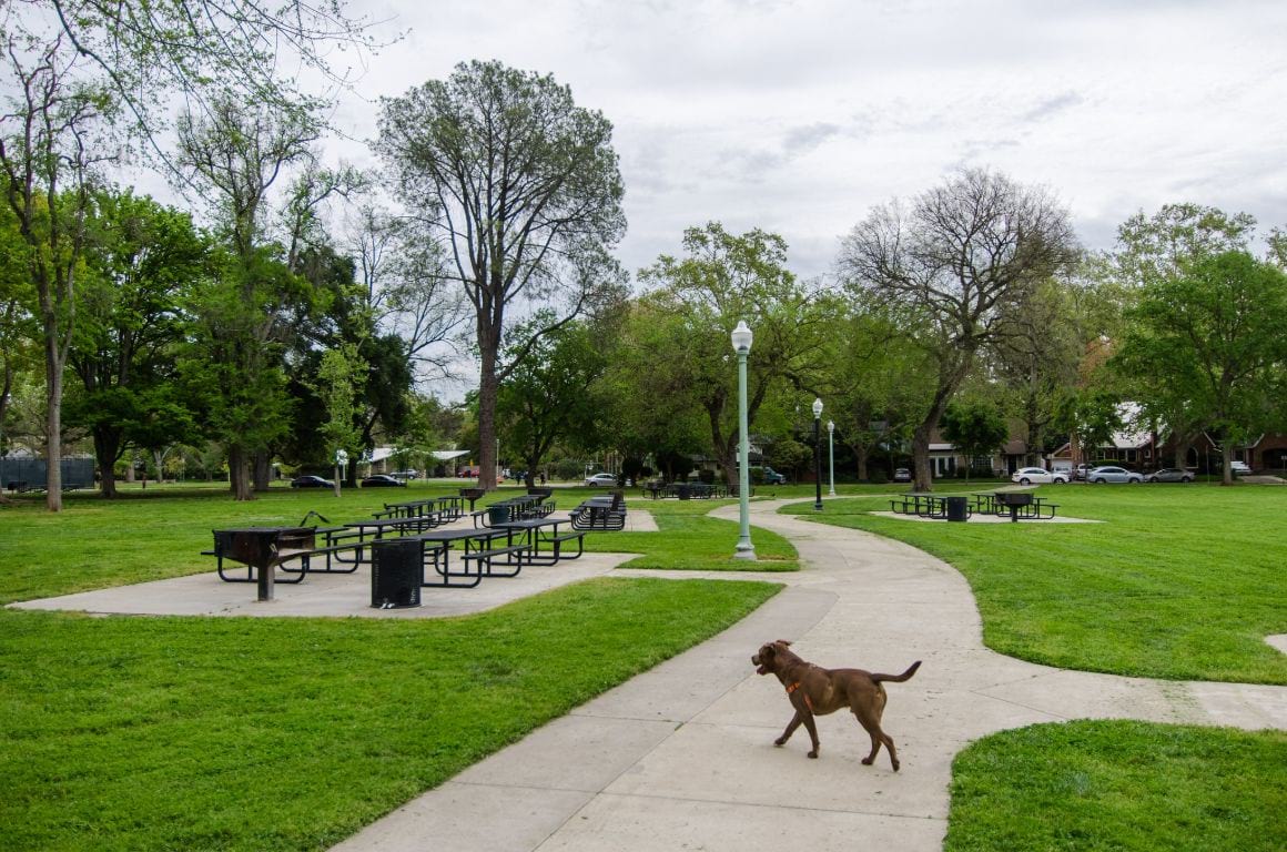 East Sacramento Mckinly Park