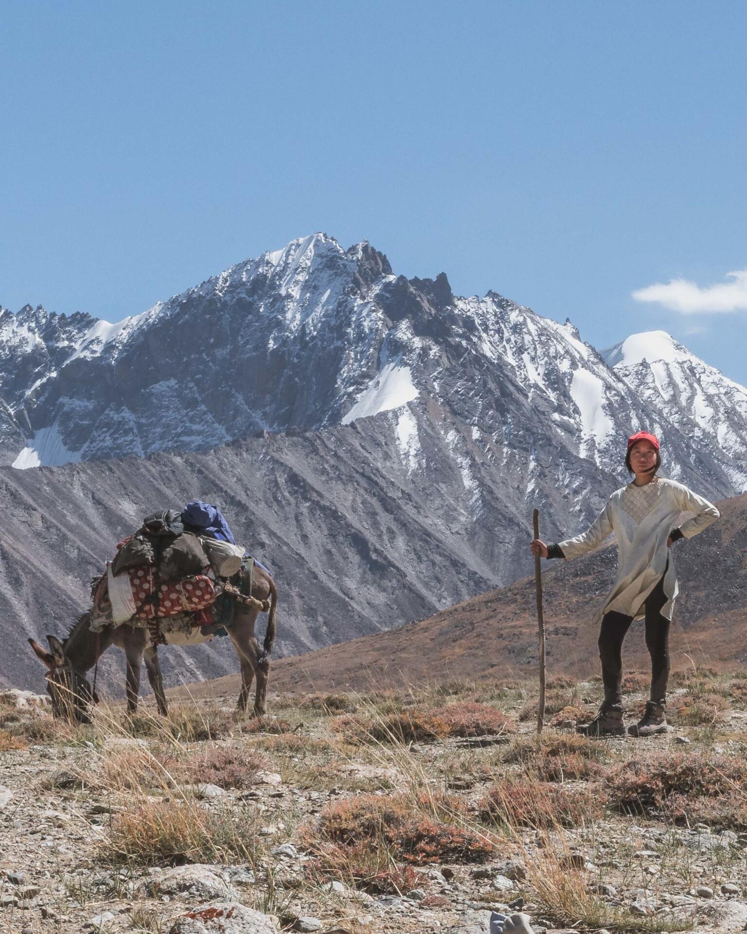 A donkey with stuff strapped to his back eats grass while Marsha and her red cap stand to the side. There are mountains of Afghanistan behind them. 