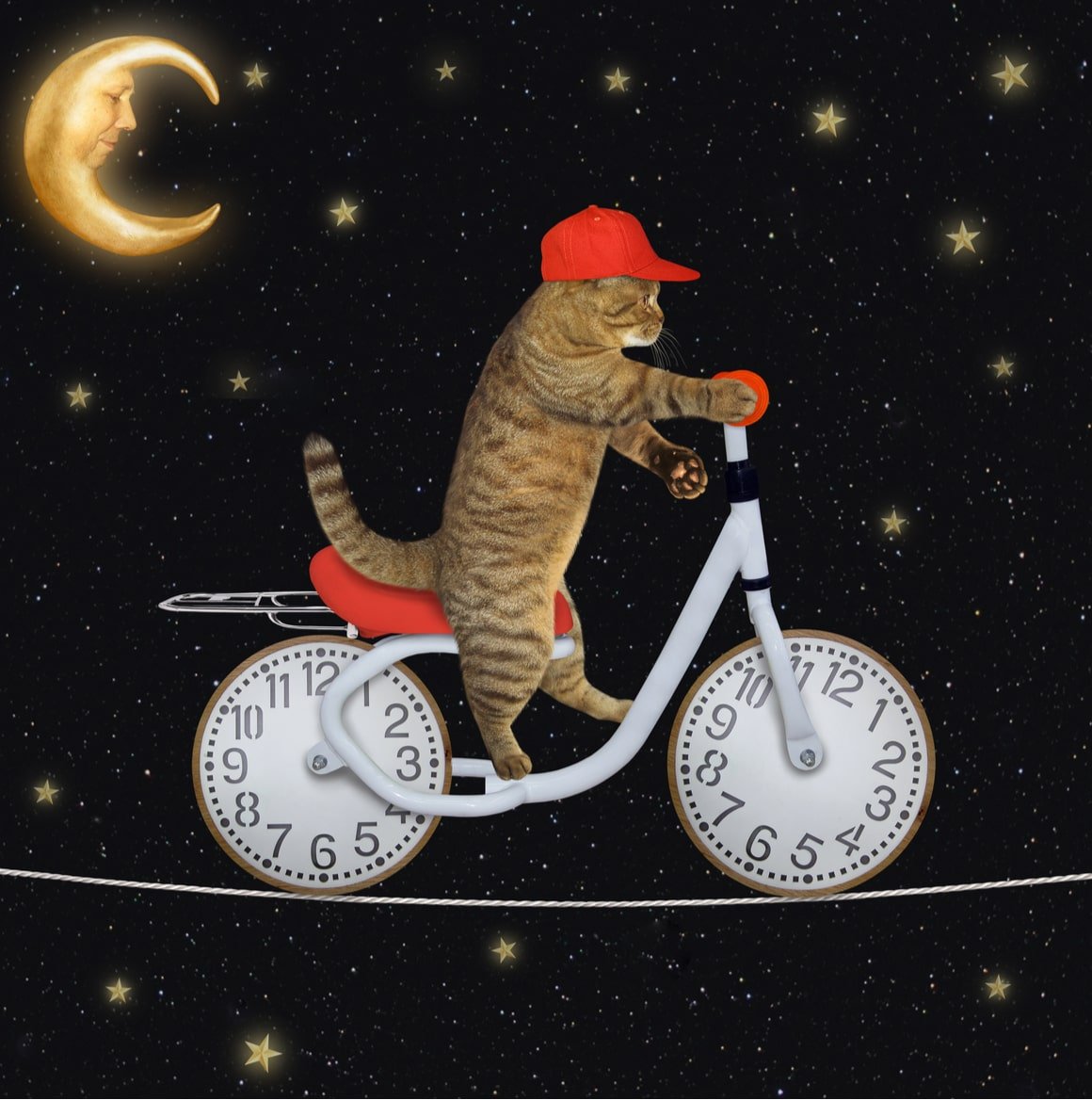 A cat rides a bicycle through the milky way cartoon.