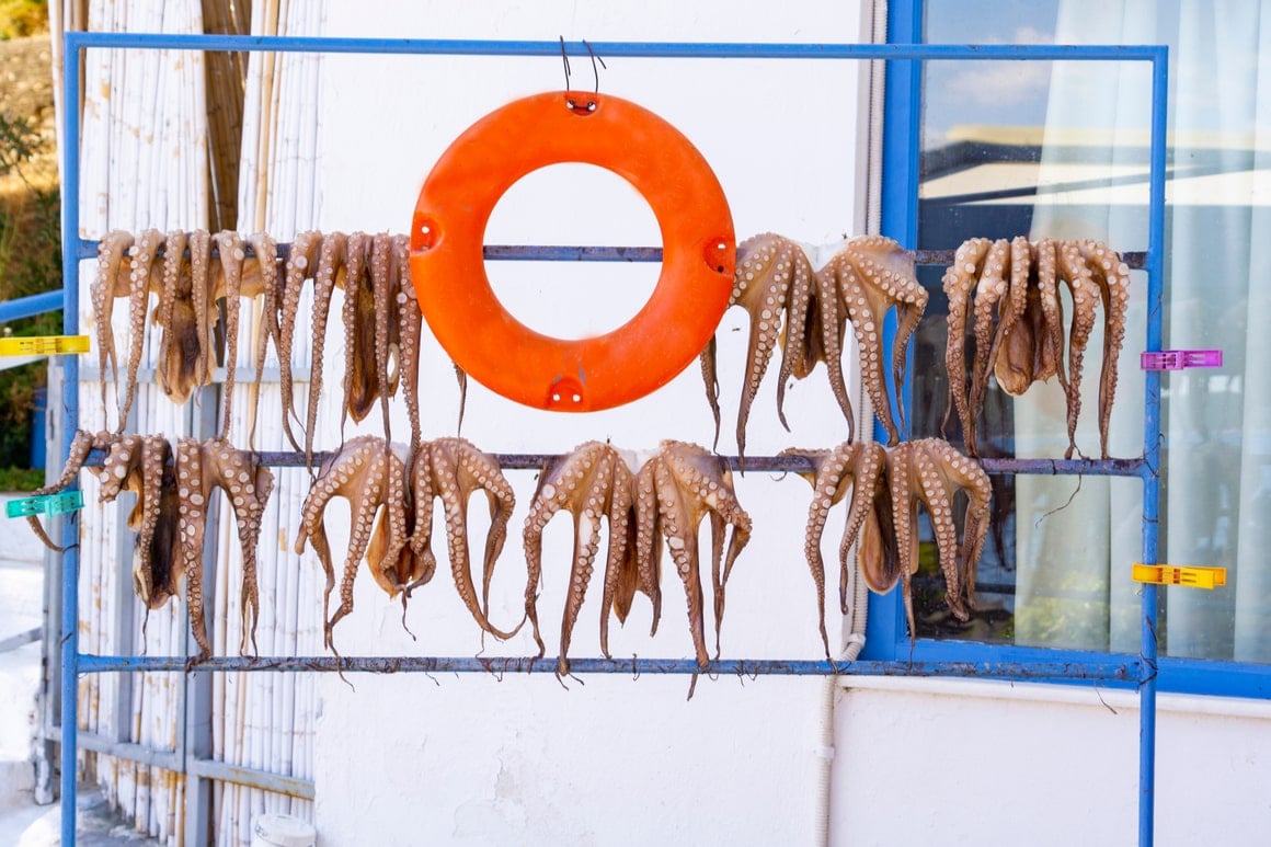 octopus hung over a blue pole for sale in french polynesia