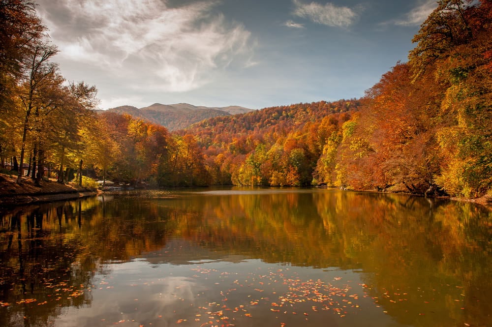 forest with autumn colours reflected on a lake