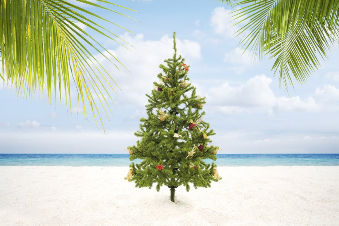 Christmas in the Tropics