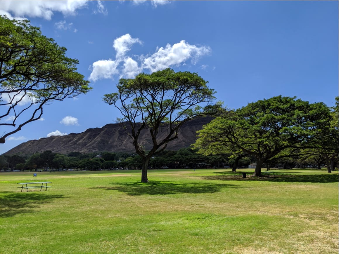 Kapiolani Park Waikiki