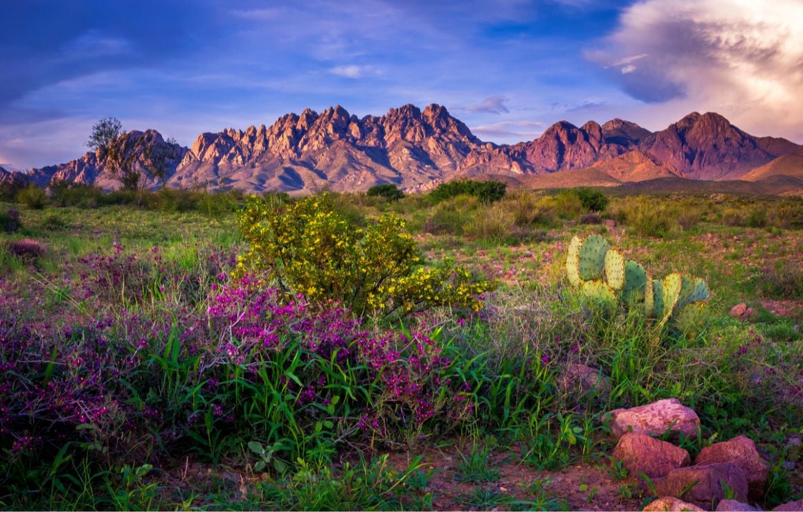 Organ Mountains New Mexico