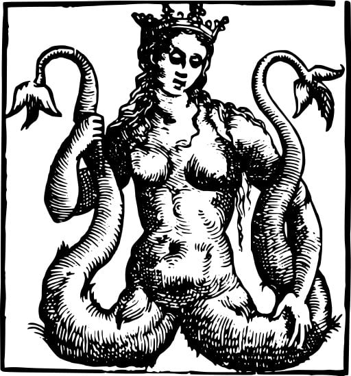 A cartoon of a mermaid with two tails. 