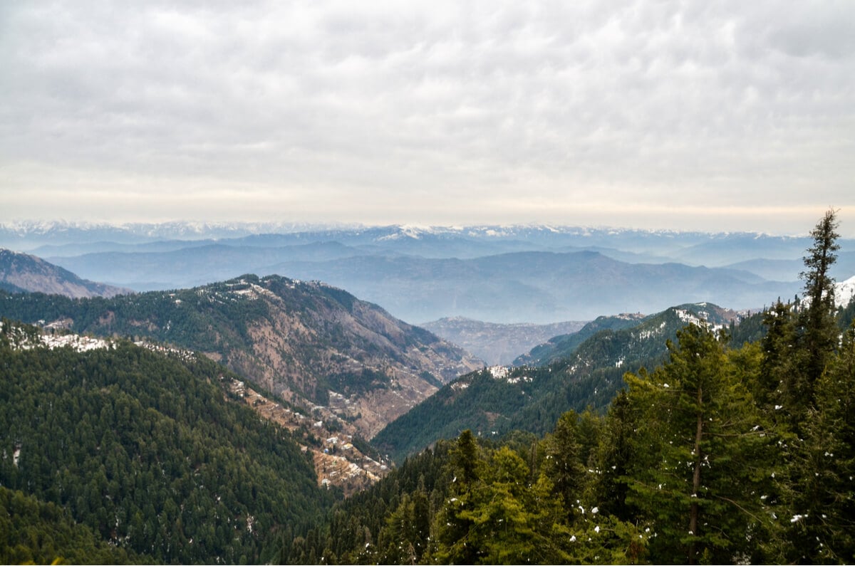 expanisve forest view of ayubia national park