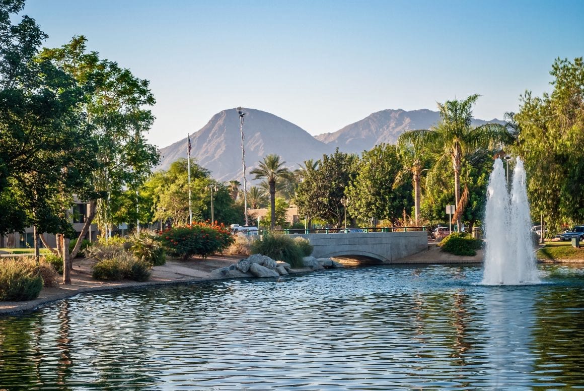 palm trees around water with mountains 