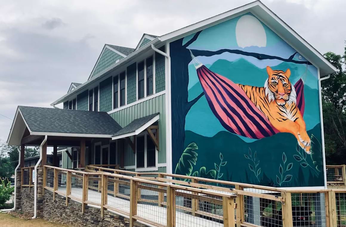 the lazy tiger hostel